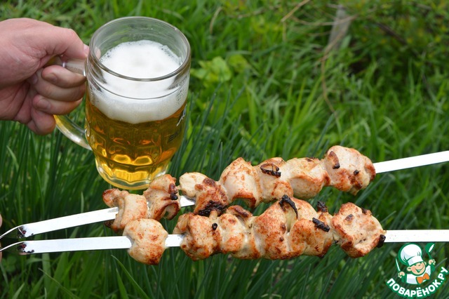 Chicken kebab in yogurt