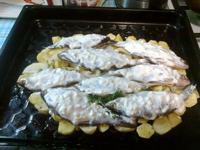 step-5