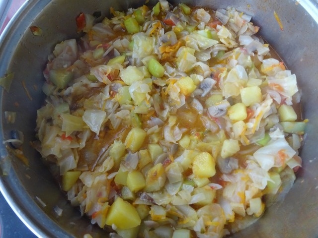 Meatless vegetable stew