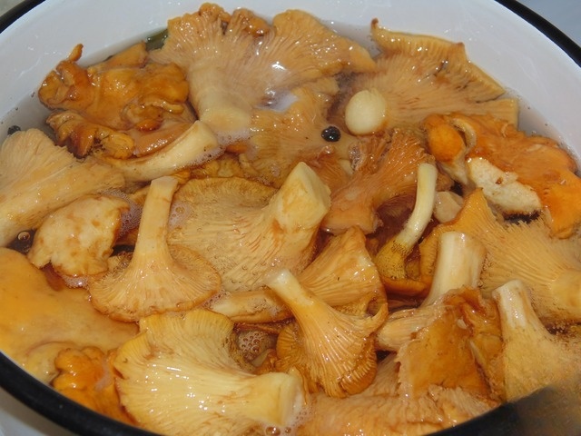 step-1