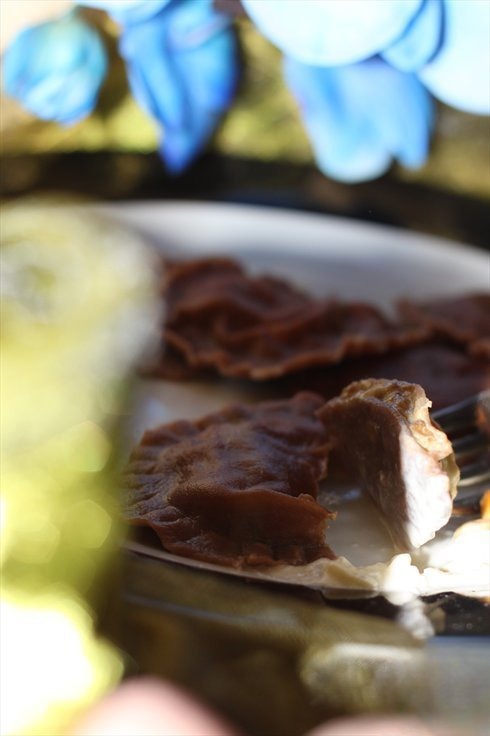 Chocolate ravioli with wild mushrooms and cheese sauce