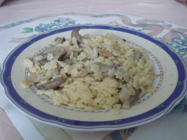 Oyster mushrooms with pasta in a wine sauce