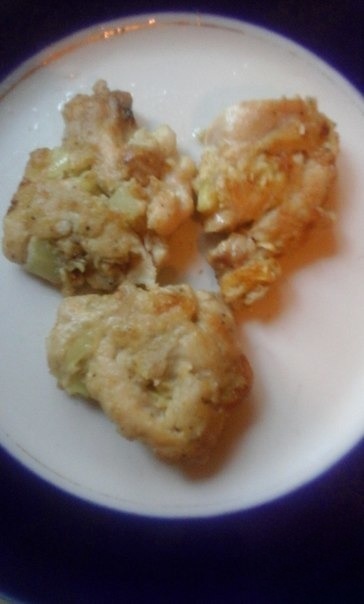 Chicken fritters family