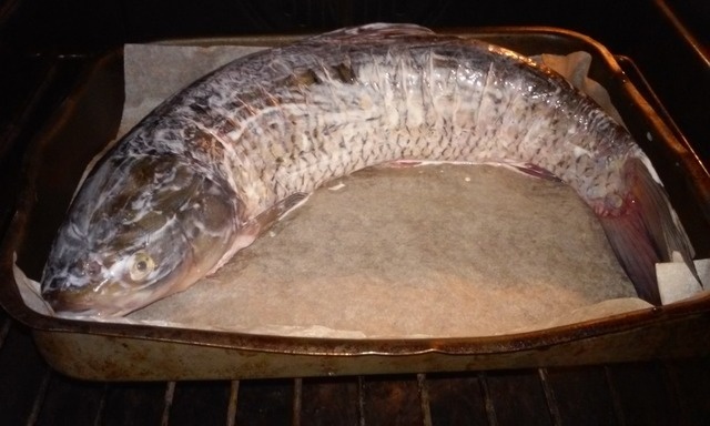 step-2